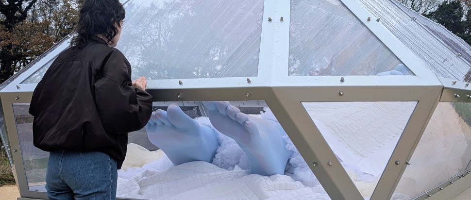 The Spell or The Dream (2025), Tai Shani