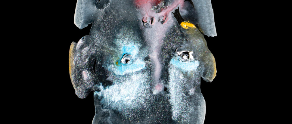 Mirror Stage by Peter Scalpello