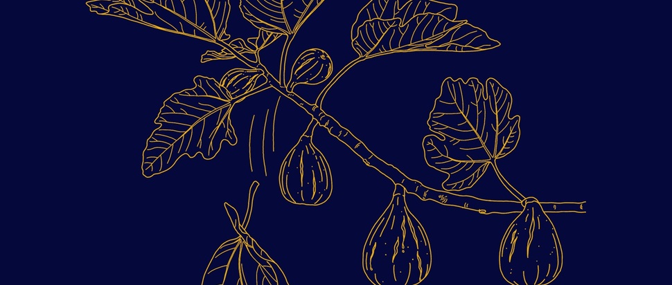 October by Nur Turkmani