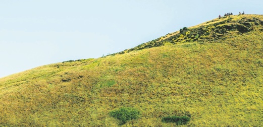 152941 banner.1
