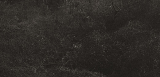 152974 banner