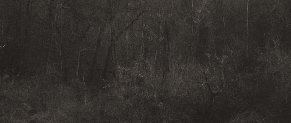 Lesley Mok – Transient