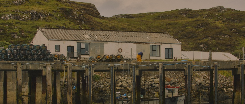 Black Bay Studio