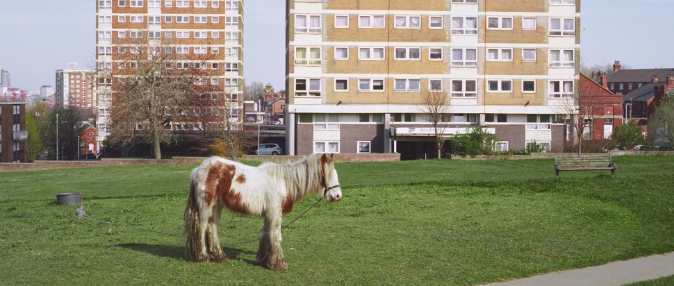 Westside Cowboy – It Goes On