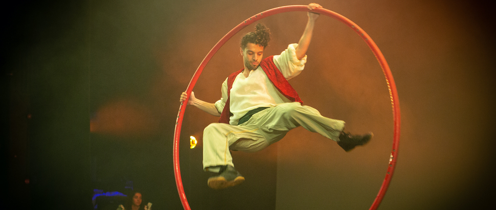 The Palestinian Circus