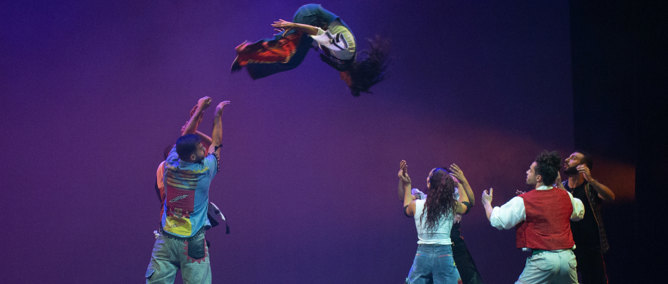 The Palestinian Circus