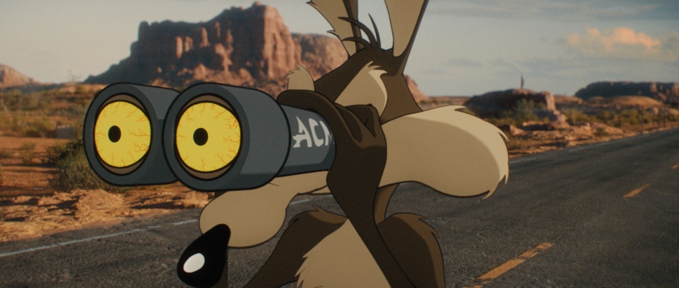 Coyote vs. Acme
