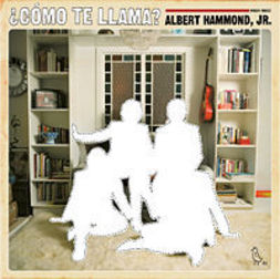 Albert Hammond Jr - ¿Cómo Te Llama? | The Skinny