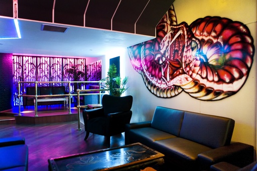 King Eider event picture